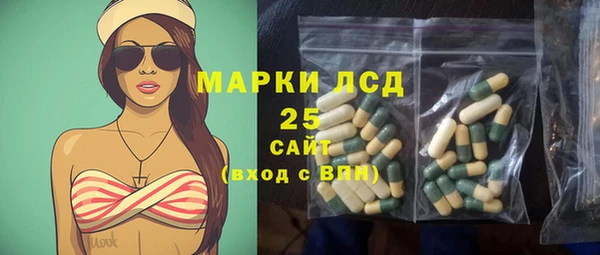 ГАЛЛЮЦИНОГЕННЫЕ ГРИБЫ Бородино