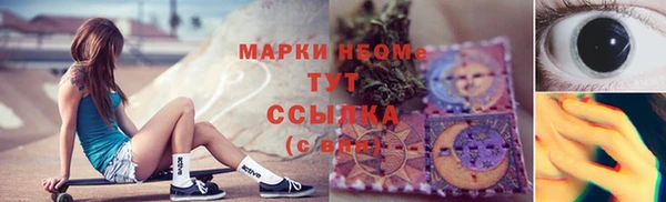ГАЛЛЮЦИНОГЕННЫЕ ГРИБЫ Бородино