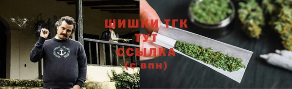 ГАЛЛЮЦИНОГЕННЫЕ ГРИБЫ Бородино