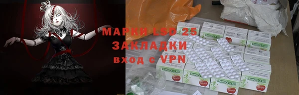 ГАЛЛЮЦИНОГЕННЫЕ ГРИБЫ Бородино