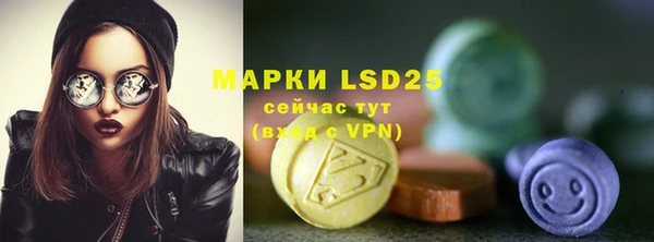 ГАЛЛЮЦИНОГЕННЫЕ ГРИБЫ Бородино