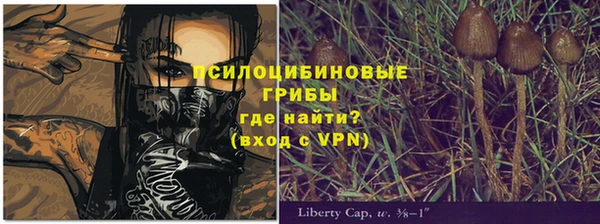 прущая мука Протвино