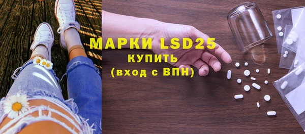 ГАЛЛЮЦИНОГЕННЫЕ ГРИБЫ Бородино