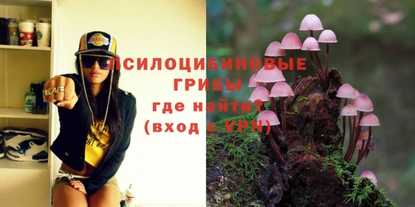 MDMA Premium VHQ Бронницы