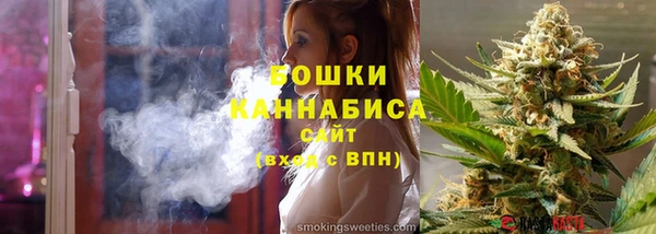 ГАЛЛЮЦИНОГЕННЫЕ ГРИБЫ Бородино