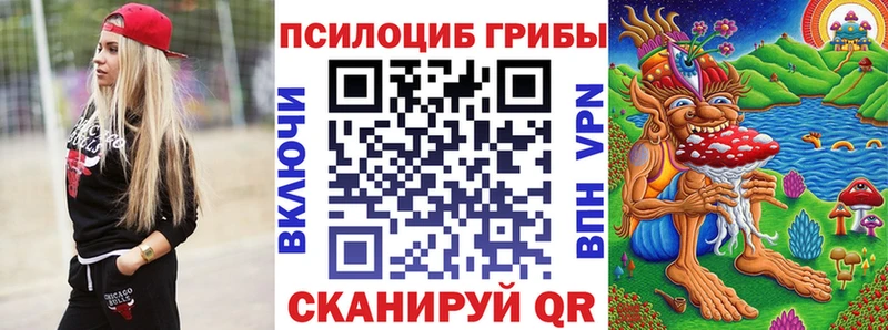 Галлюциногенные грибы Psilocybe  где можно купить наркотик  Славянск-на-Кубани 