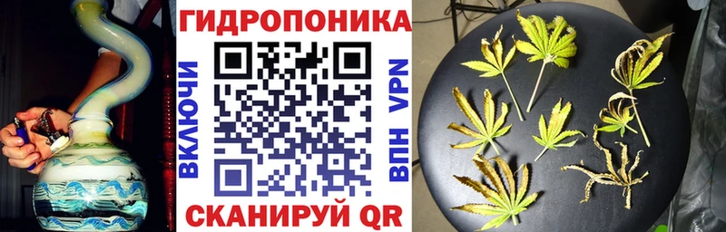 Шишки марихуана индика  KRAKEN вход  Славянск-на-Кубани 